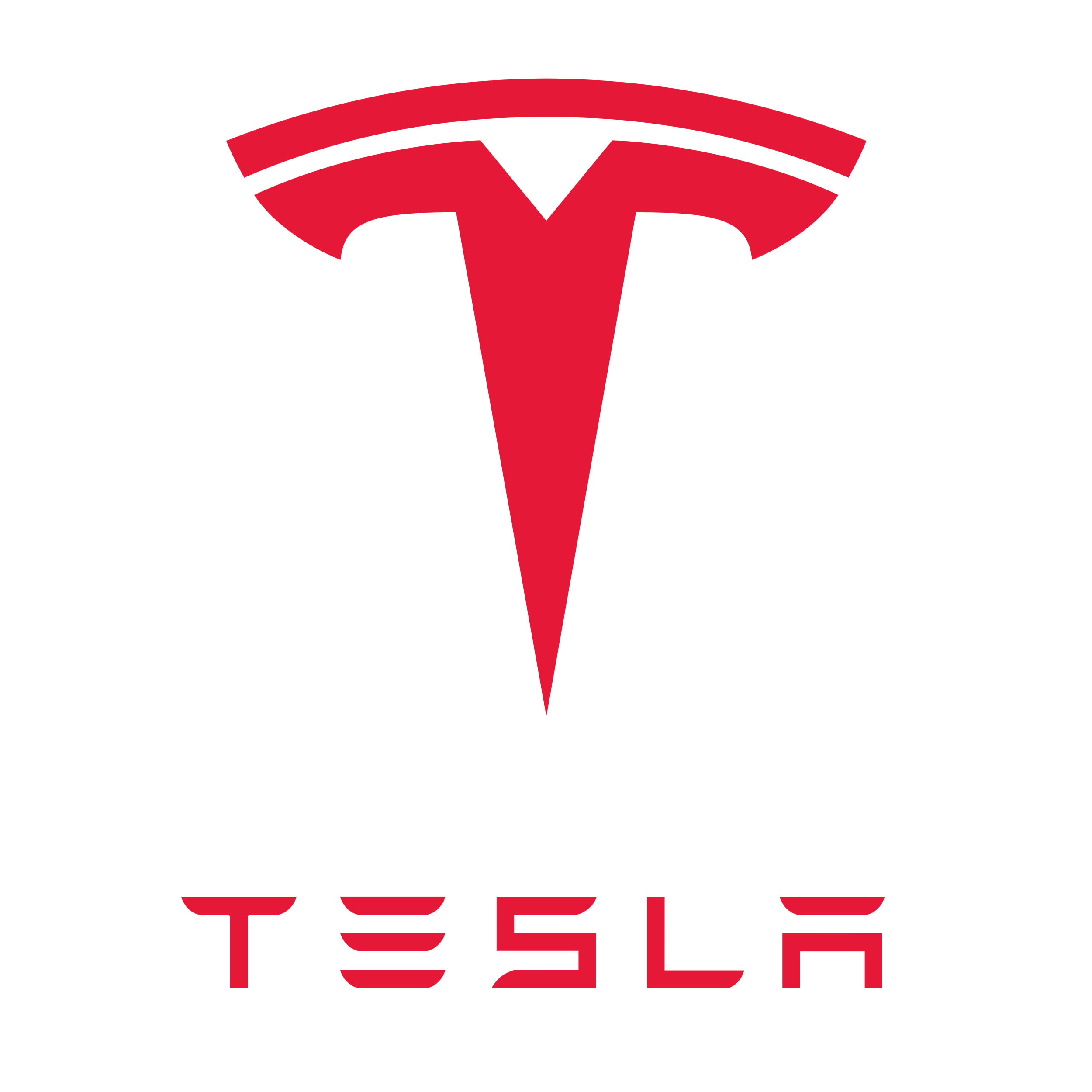 Дилер Tesla